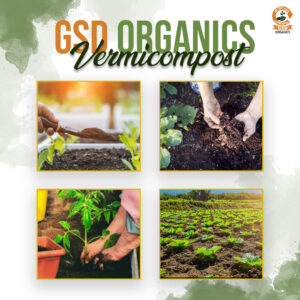 Pure Vermicompost Per kg